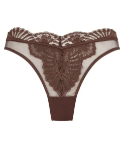 Indigo Brazilian - Brown