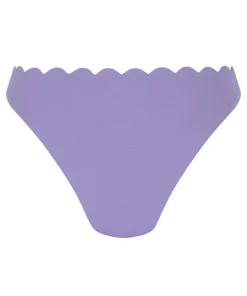Scallop Rio Bikini Bottoms - Purple