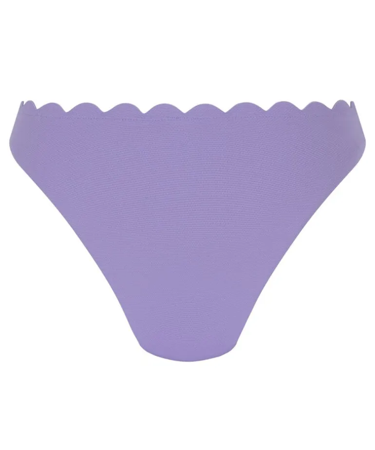 Scallop Rio Bikini Bottoms - Purple